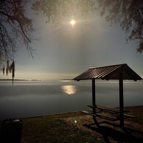 Meet your Posher, Audrey - Picture 7 of 7